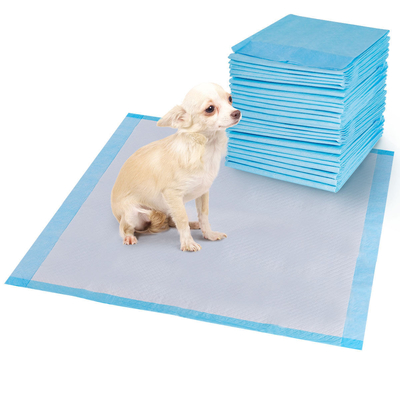 Clean Hygienic Dog Urine Pad Disposable For Pets Potty Training